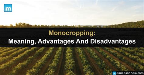 are monocrop cheap